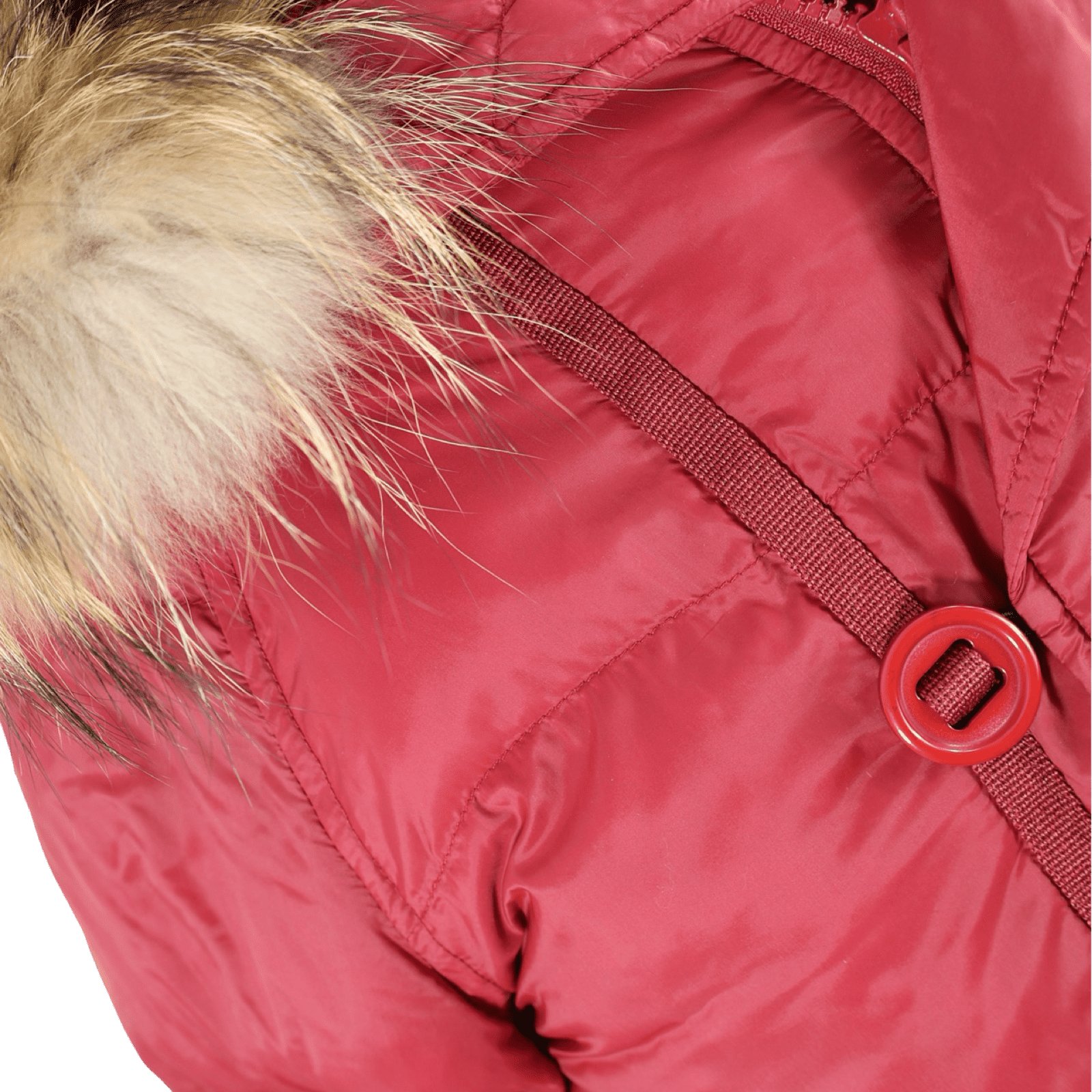 Chaqueta Roja